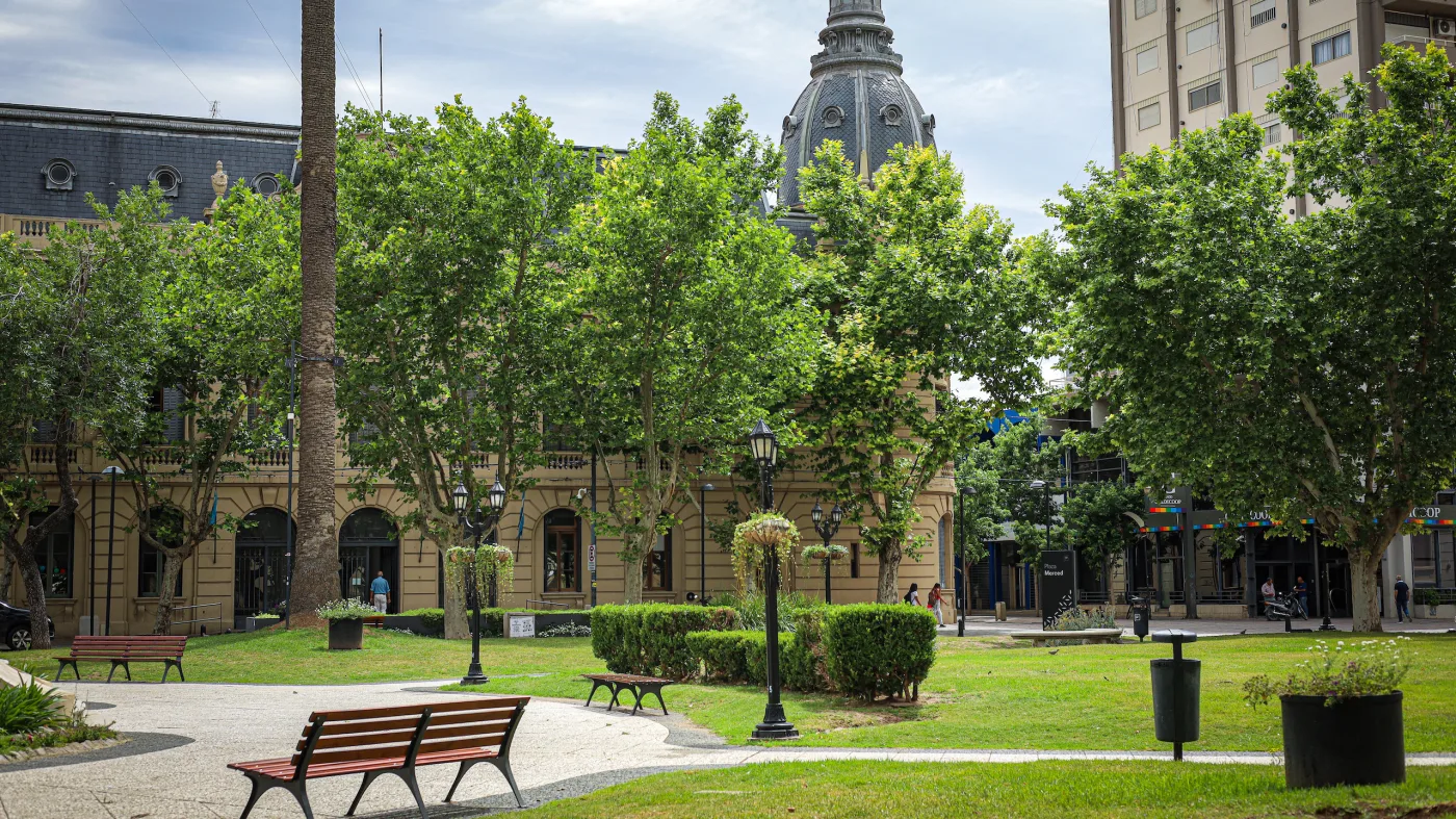 Pergamino