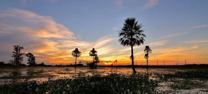 Corrientes
